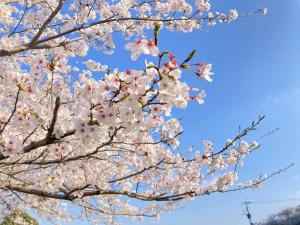 令和7年の様子3