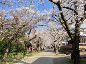 令和７年の様子１