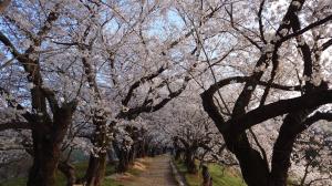 令和７年の様子1