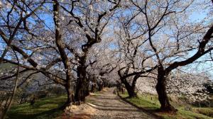 令和７年の様子3