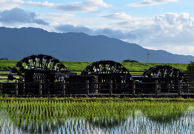 あさ暮らし応援チケット