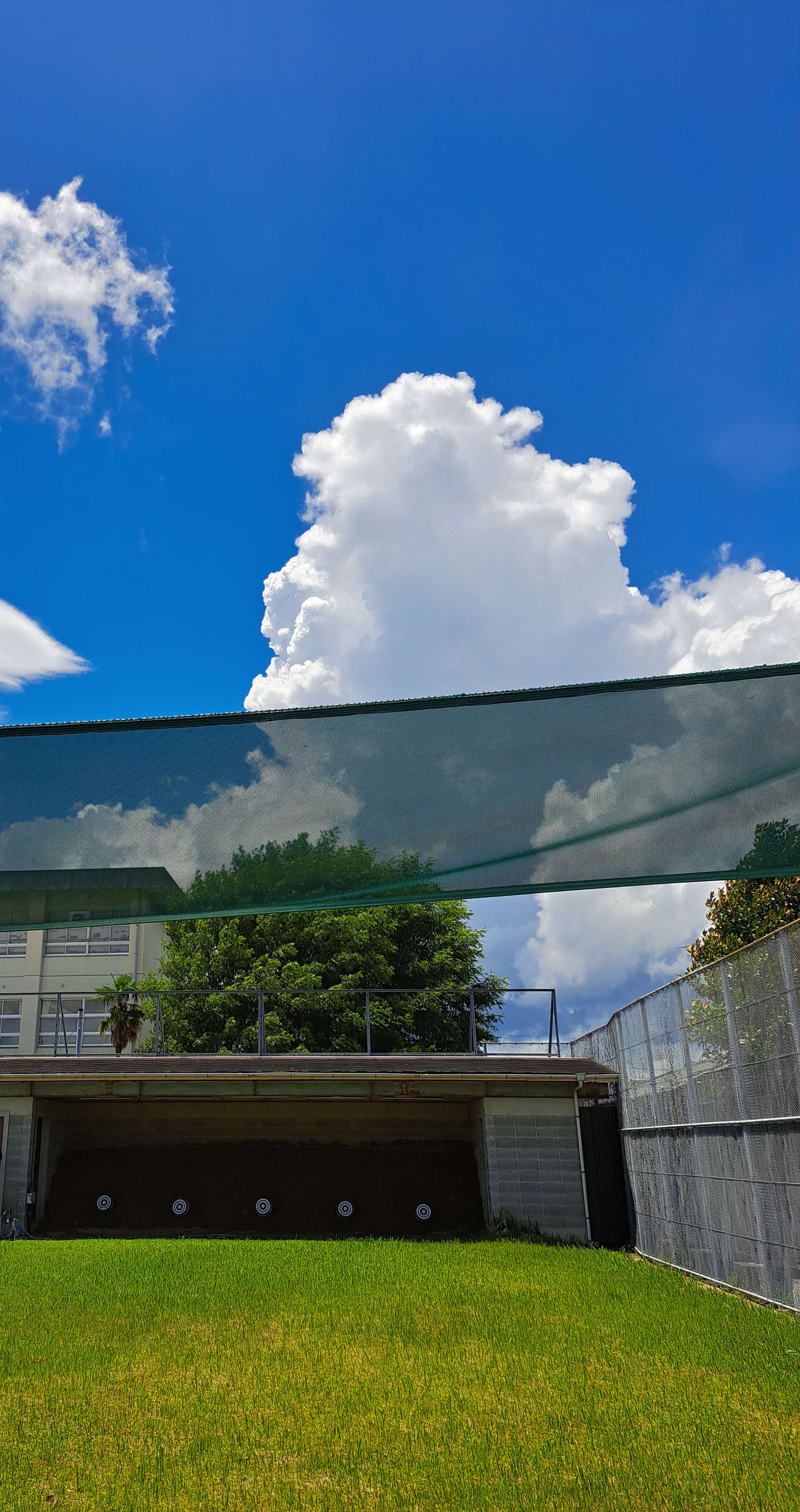 hajimetesukininaretasprots