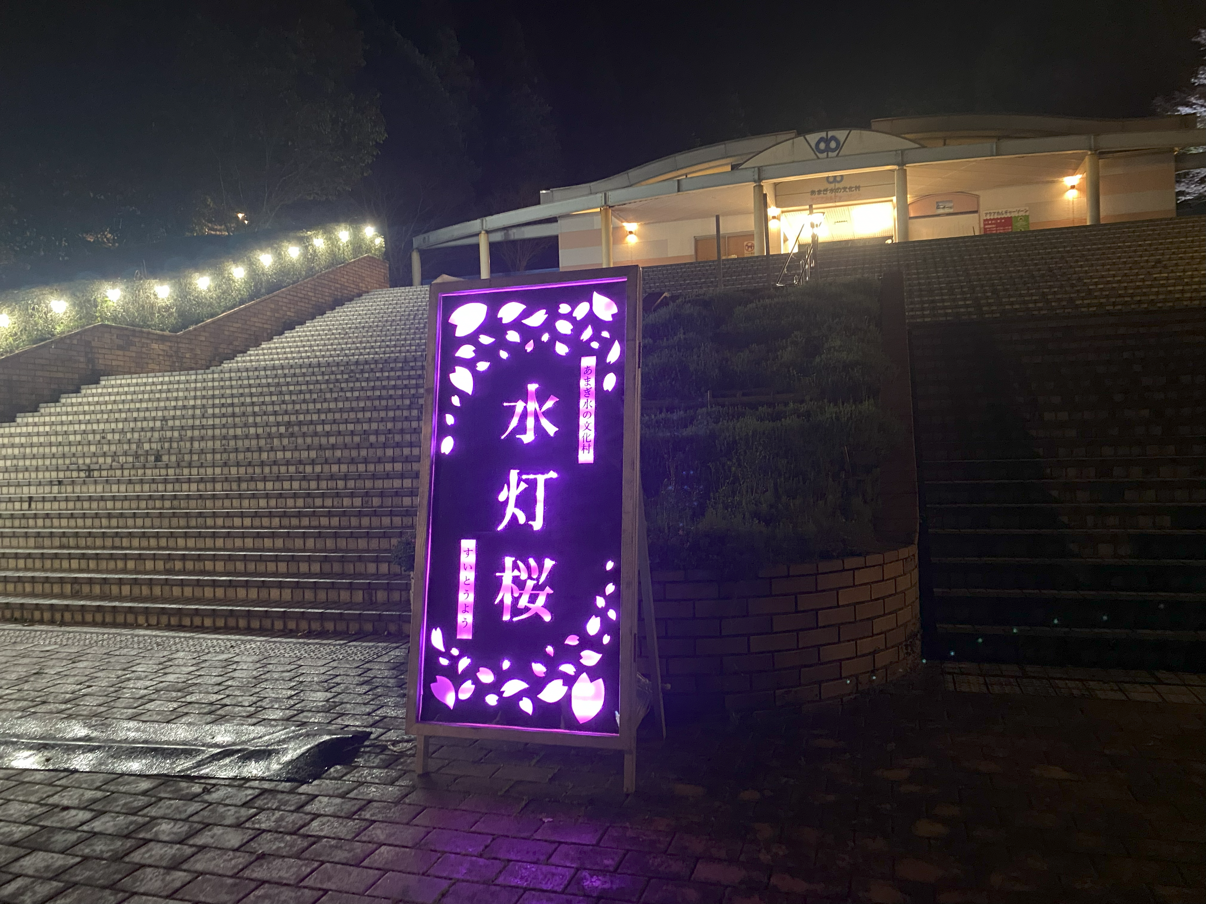 夜桜ライトアップ 入口看板
