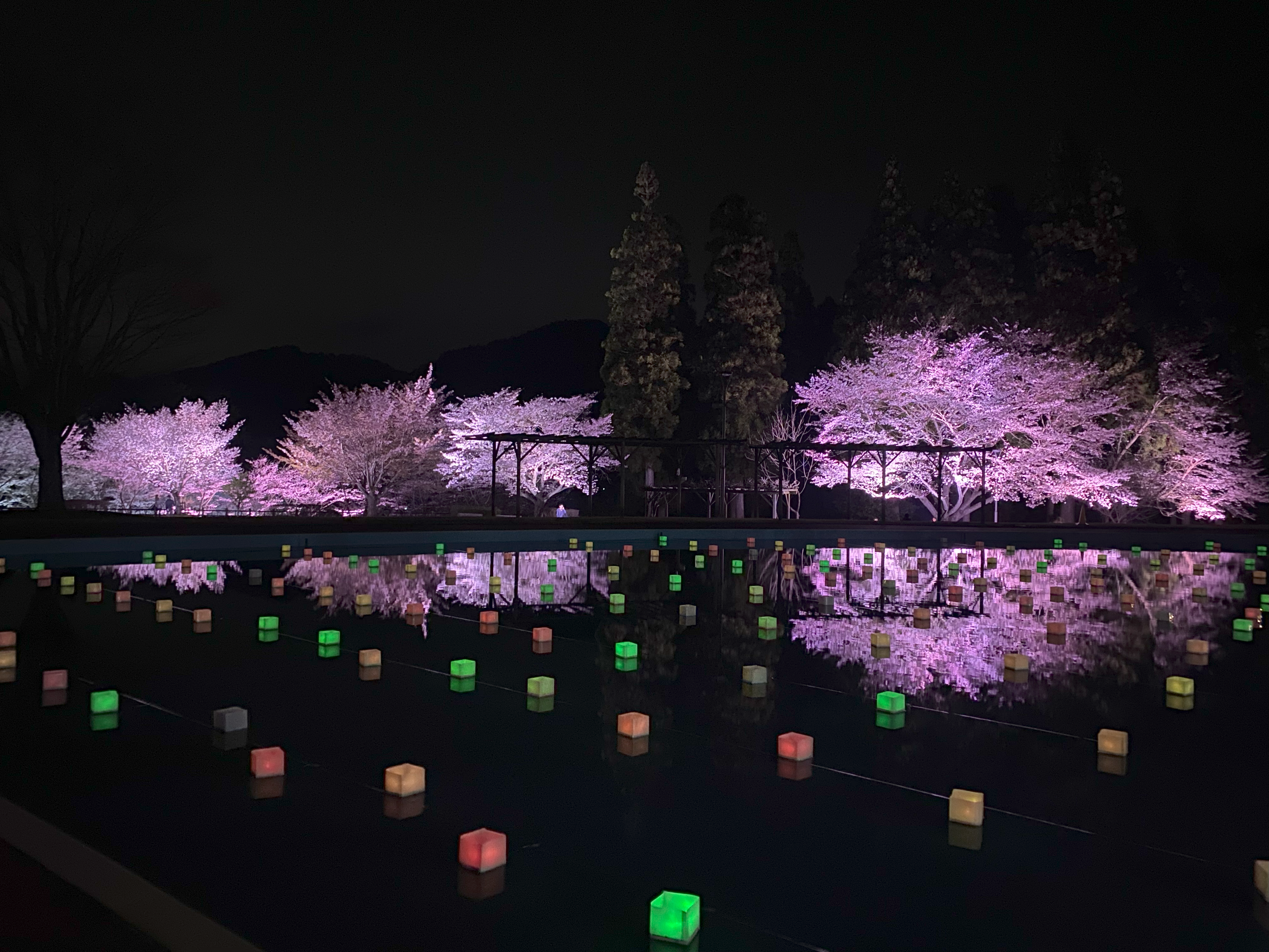 せせらぎ館周辺