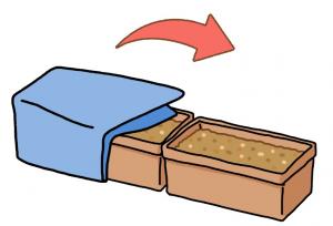 プランターで作る水のう