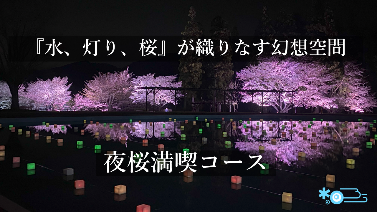 夜桜満喫コース　バナー