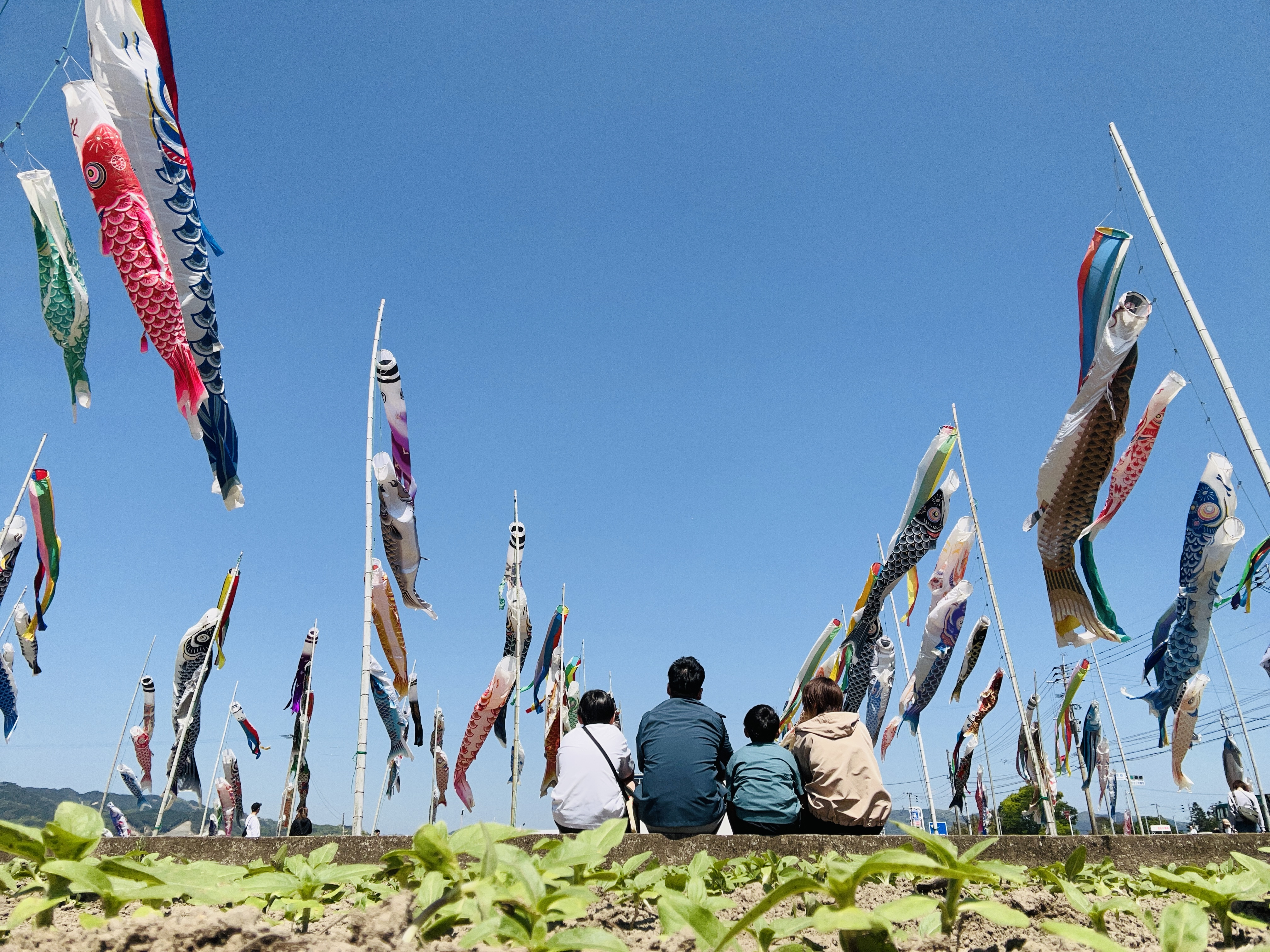 泳ぐ魚とこどもの笑い声