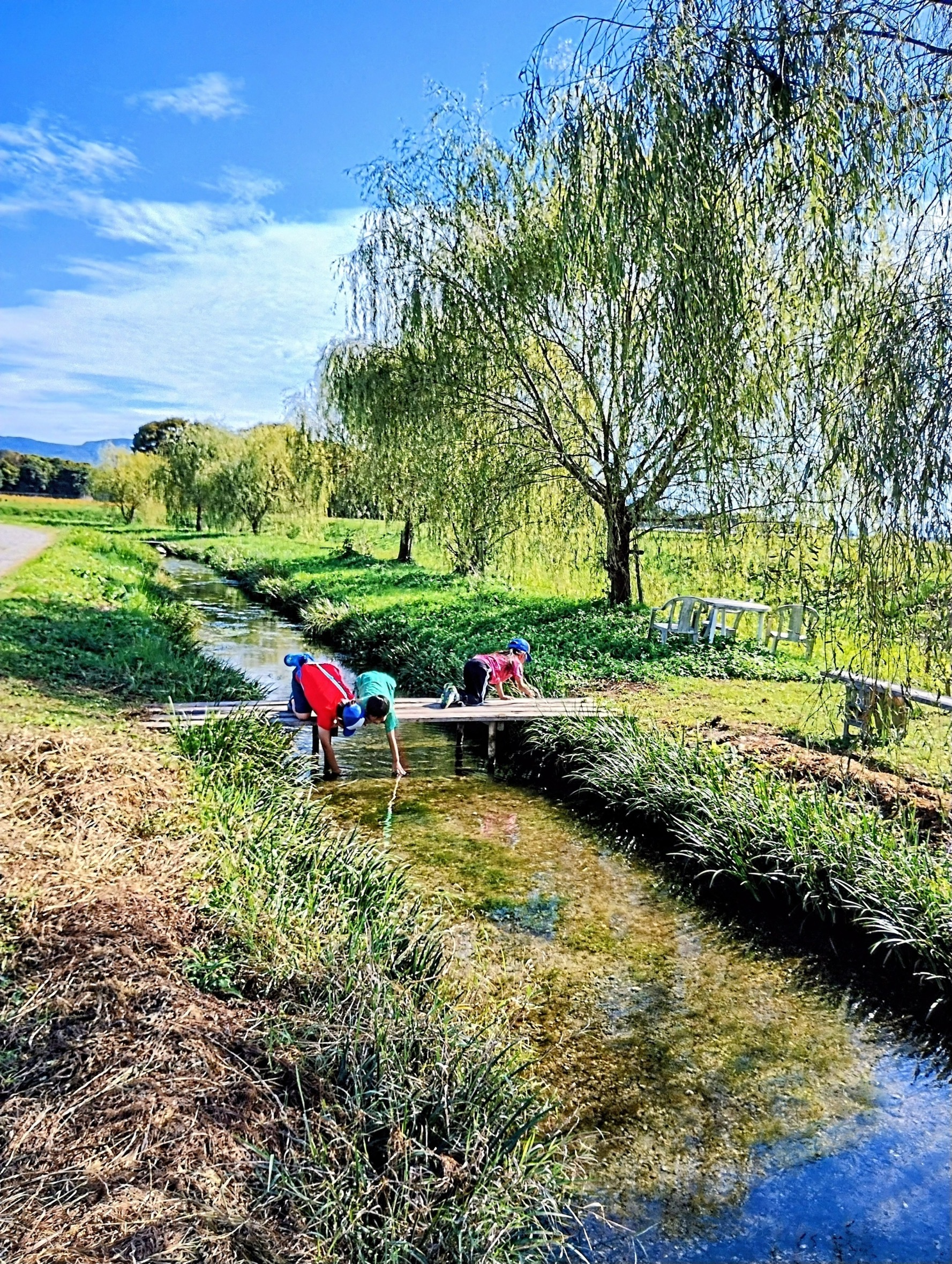 朝倉の残したい水辺の風景
