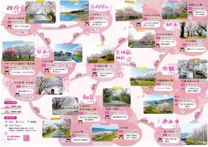桜マップ