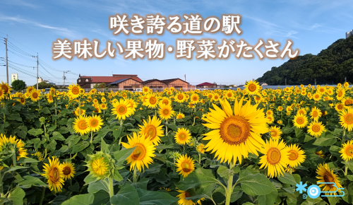 道の駅　原鶴ファームステーションバサロ
