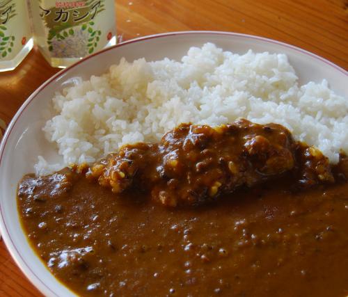 みつばちカレー