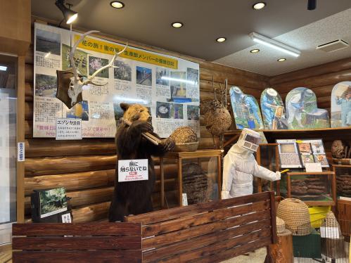 みつばち資料館２