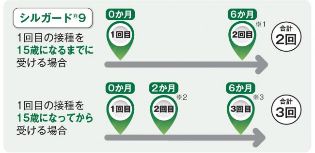 一般的な接種スケジュール