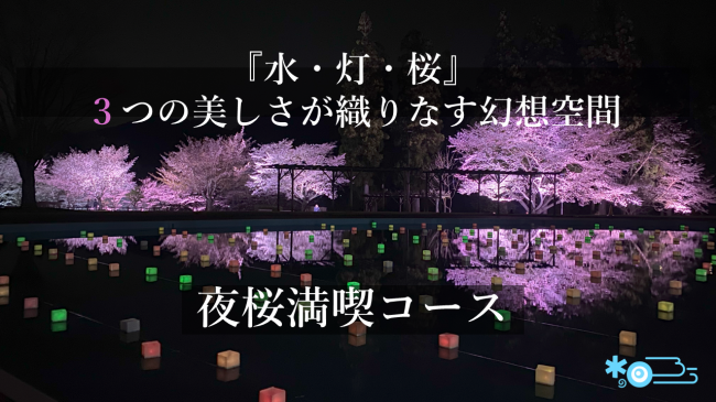 「水・灯・桜」夜桜ライトアップ　トップバナー
