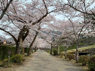 令和8年の様子1