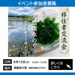 チラシ