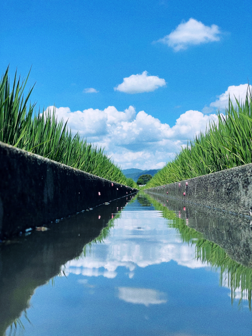 銅賞「水鏡の記憶」