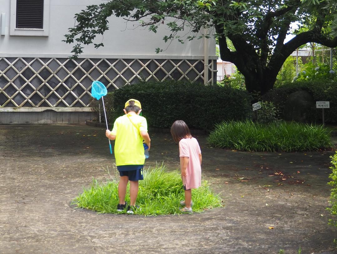 甘木歴史資料館の写真4