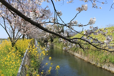 堀川用水