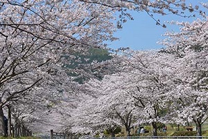 あまぎ水の文化村