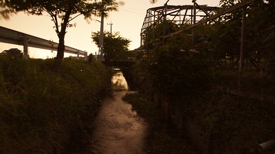 安川地区のホタルの様子