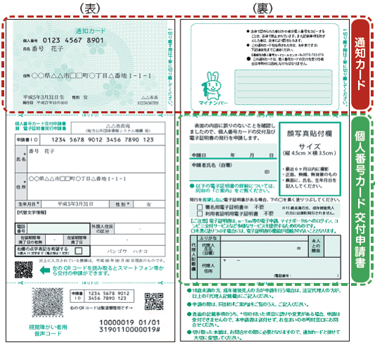 通知カード