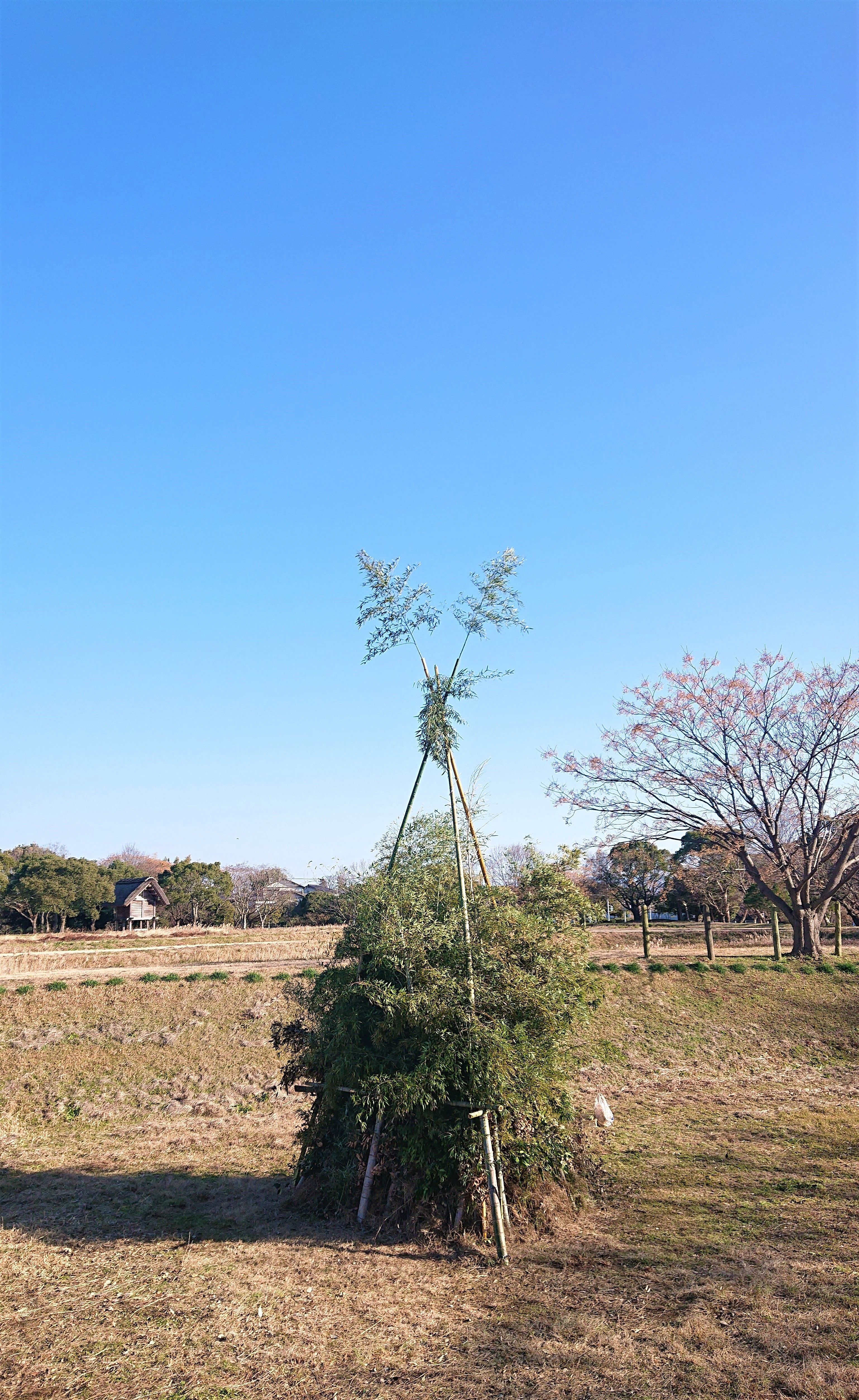 なりきり弥生人