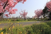 平塚川添遺跡公園