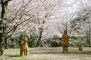 木の丸公園