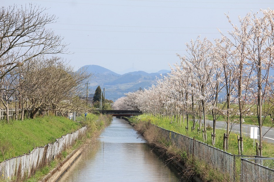 堀川用水