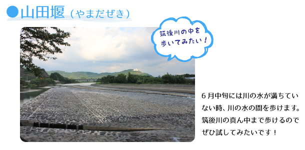 山田堰。6月中旬には川の水が満ちていない時、川の水の間を歩けます。筑後川の真ん中まで歩けるのでぜひ試してみたいです！