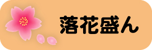 つぼみ