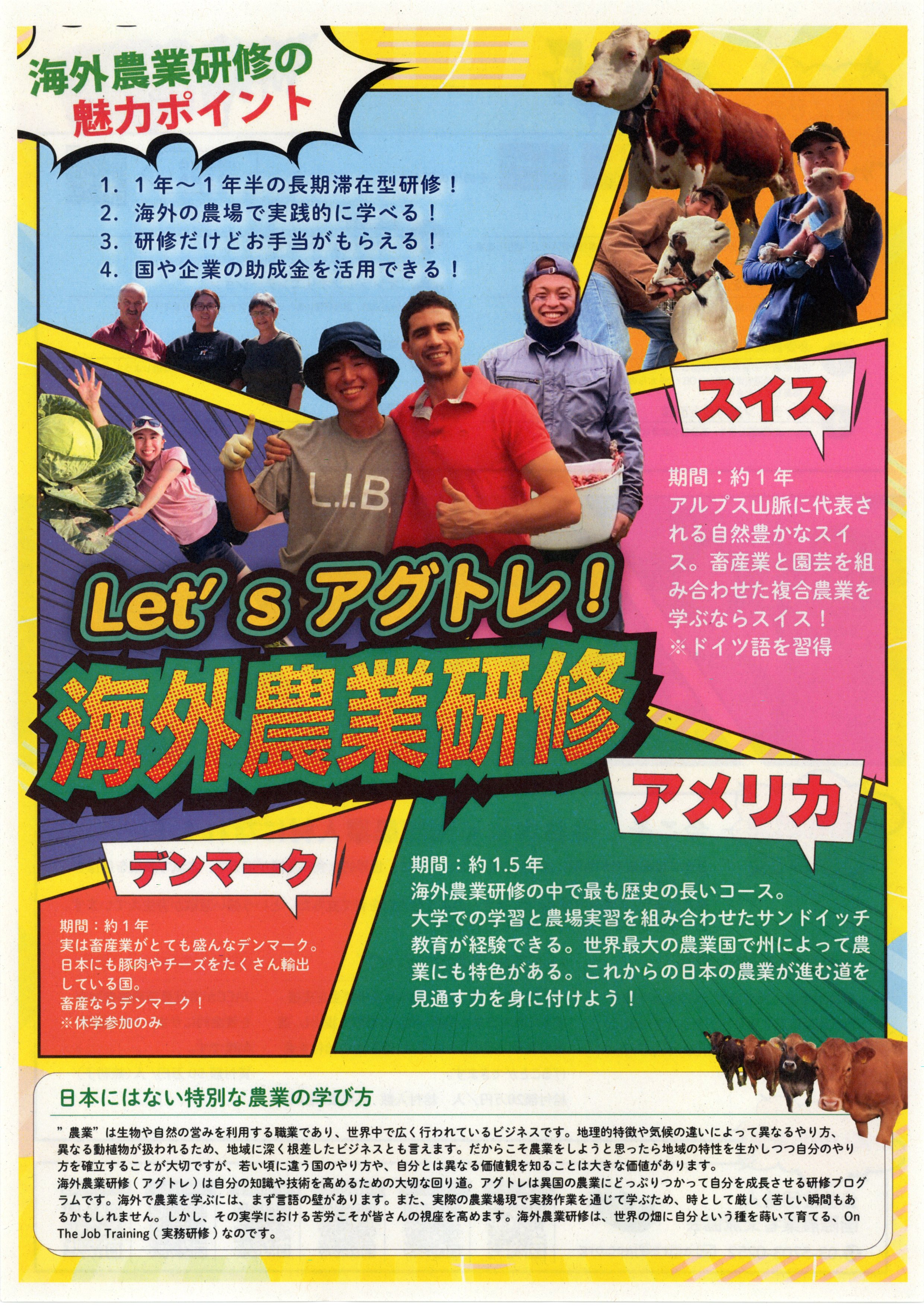 チラシ