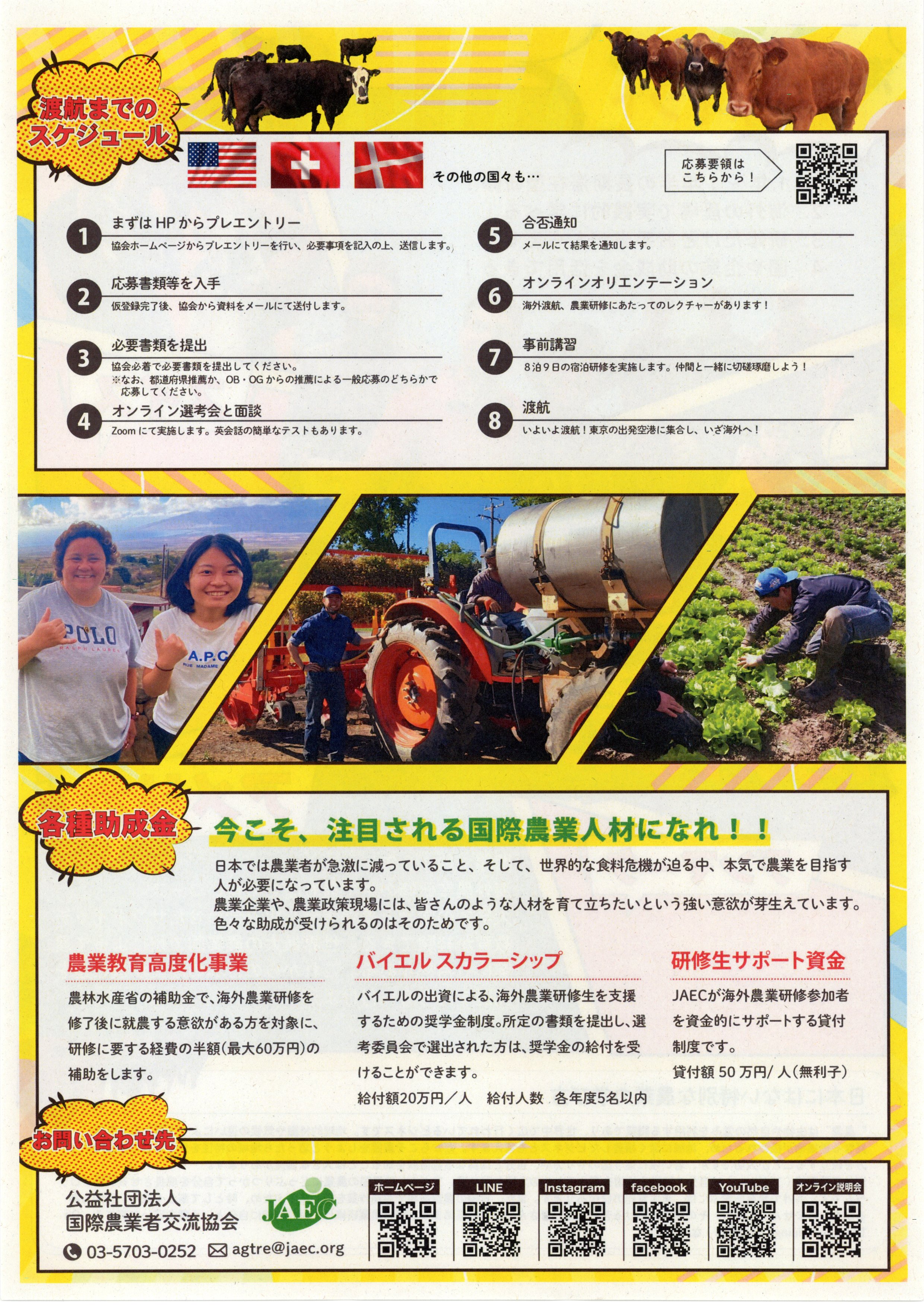 チラシ