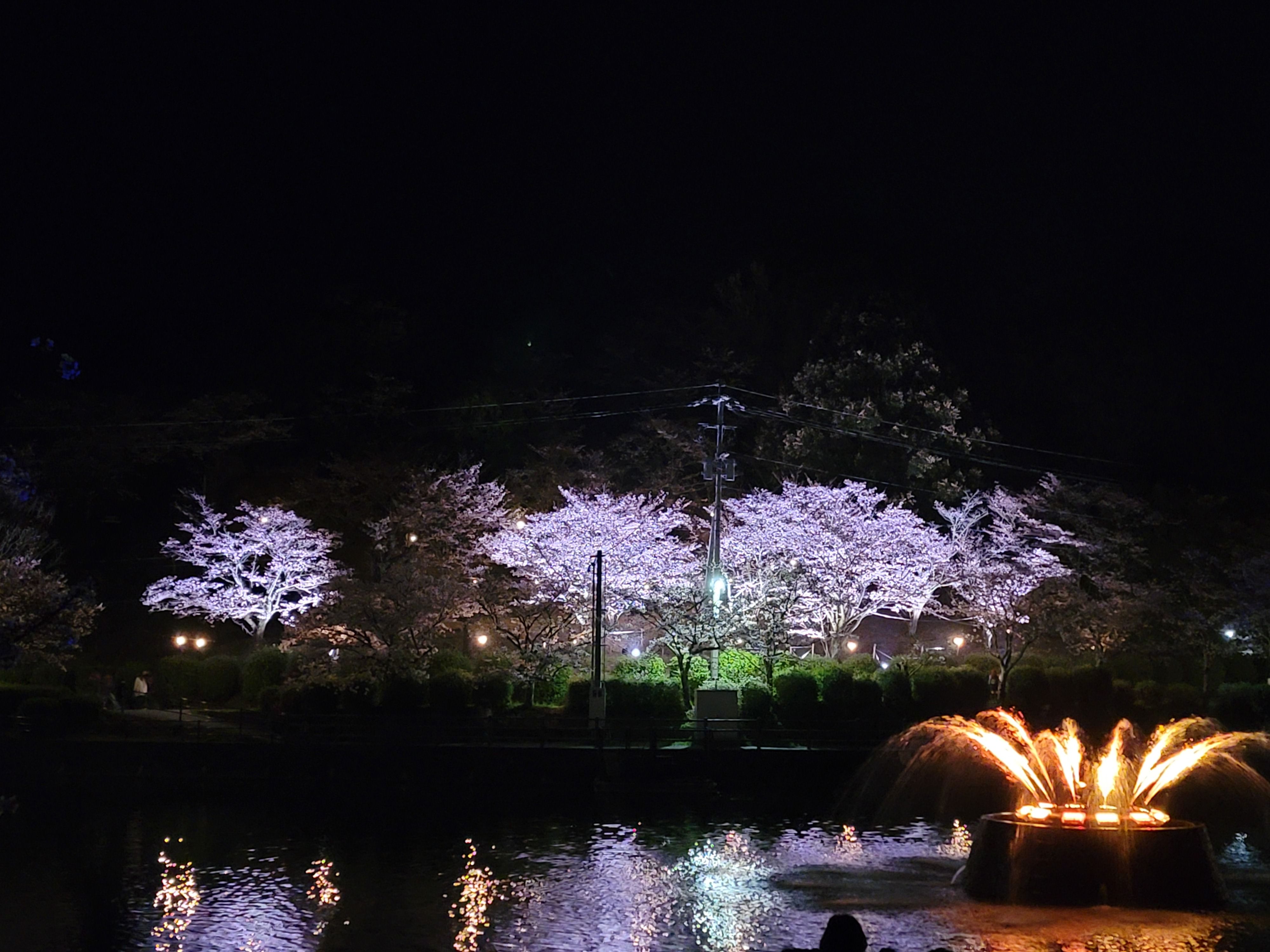 甘木公園　噴水（イルミネーション）