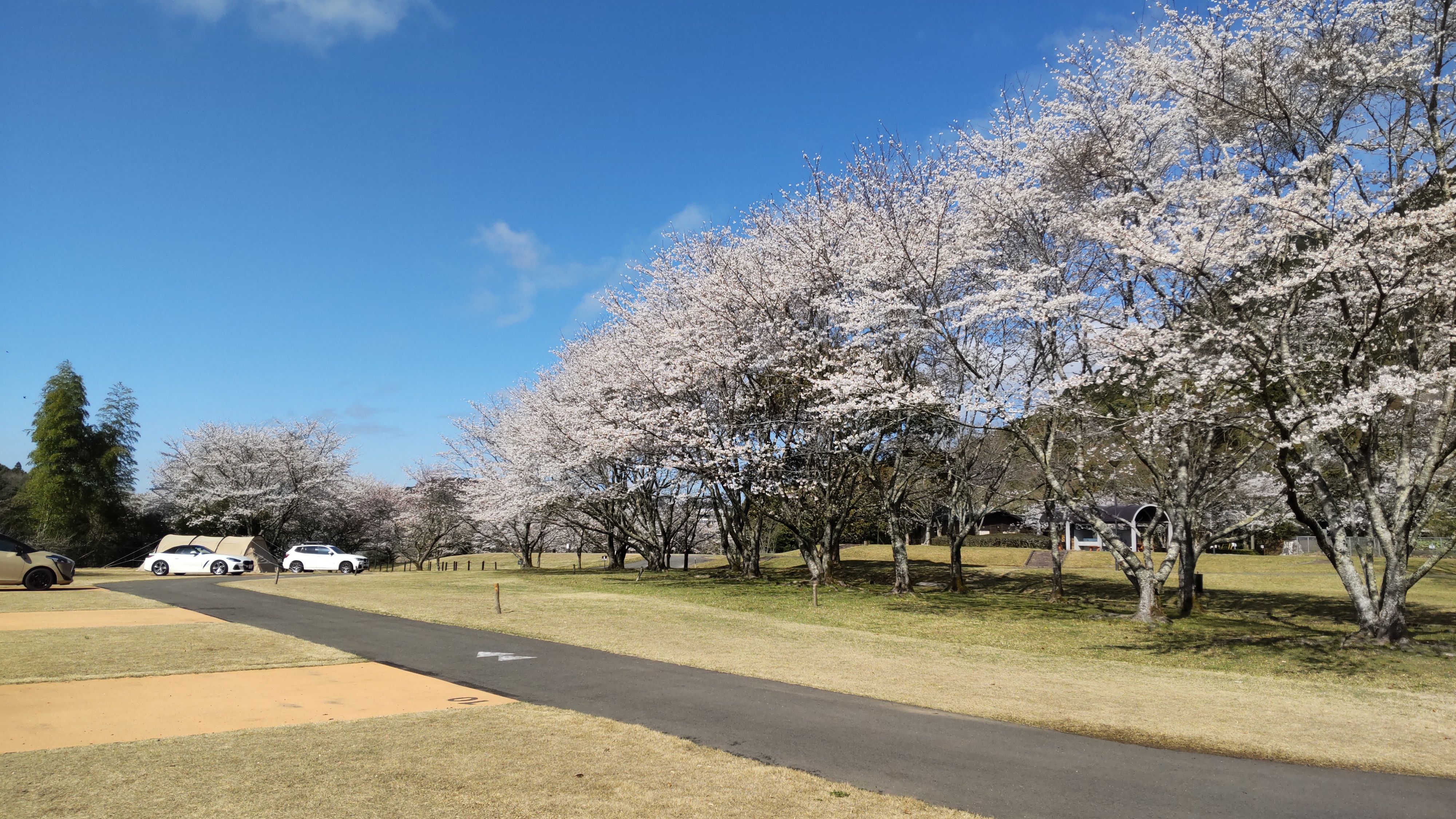 朝倉オートキャンプ場２