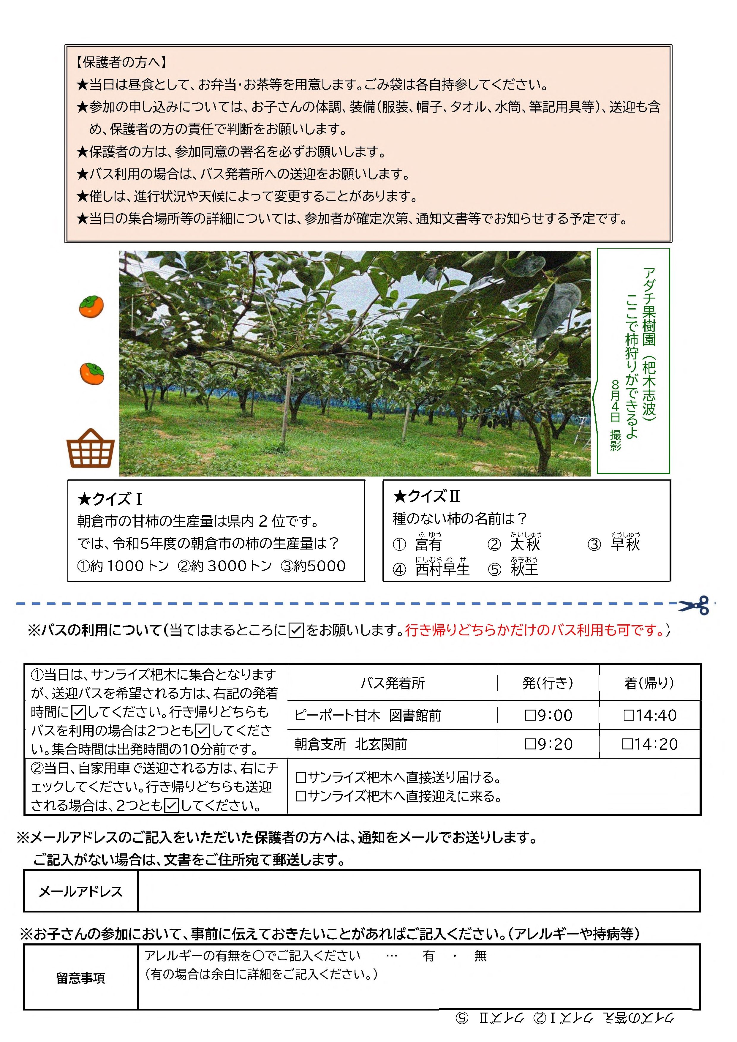 チラシ裏